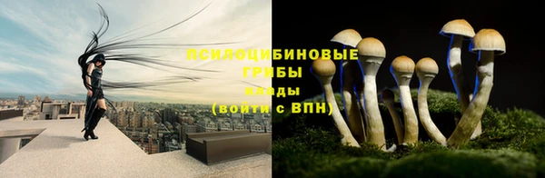 a pvp Гусев