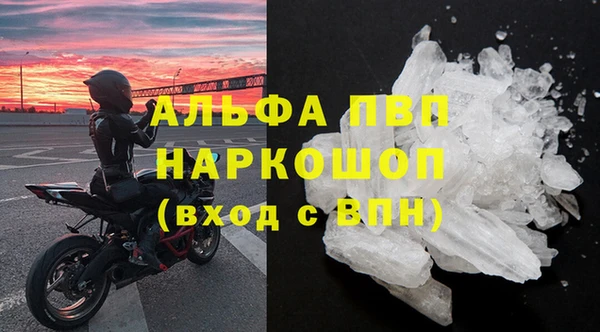 сатива Гусиноозёрск