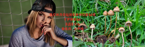 сатива Гусиноозёрск