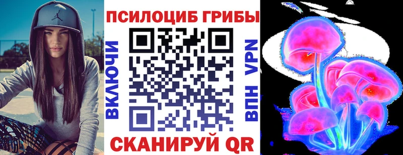 Купить где Шиханы Псилоцибиновые грибы GOLDEN TEACHER